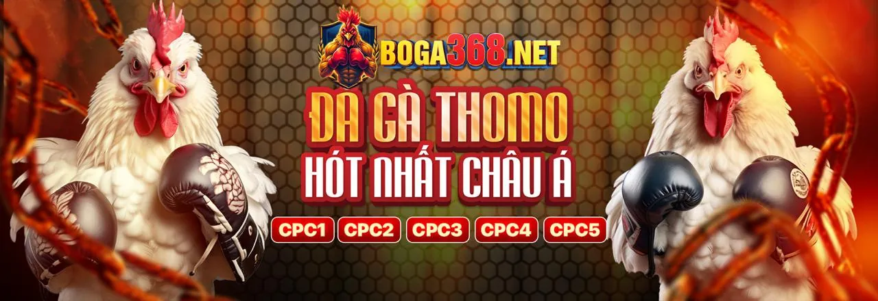 Sân chọi gà trực tuyến alo88 casino